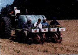 Prepping the ground & planting seeds